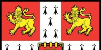 Certificate in Advanced English