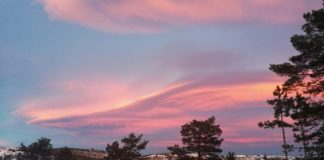 Ein Jahr Norwegen – eine unvergessliche Zeit