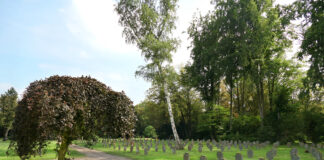 Projektkurs Geschichte besucht lokale Kriegsgräberstätte