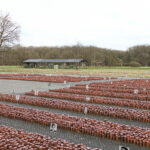 Abb.8_Mahnmal_Gedenkstätte_Kamp_Westerbork