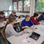 Zwei Mädchen schneiden ein Hühnerherz mit Utensilien.