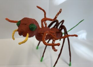 Kunstwerk des Monats Mai 2026