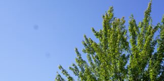 Schöne Sommerferien!
