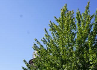 Schöne Sommerferien!
